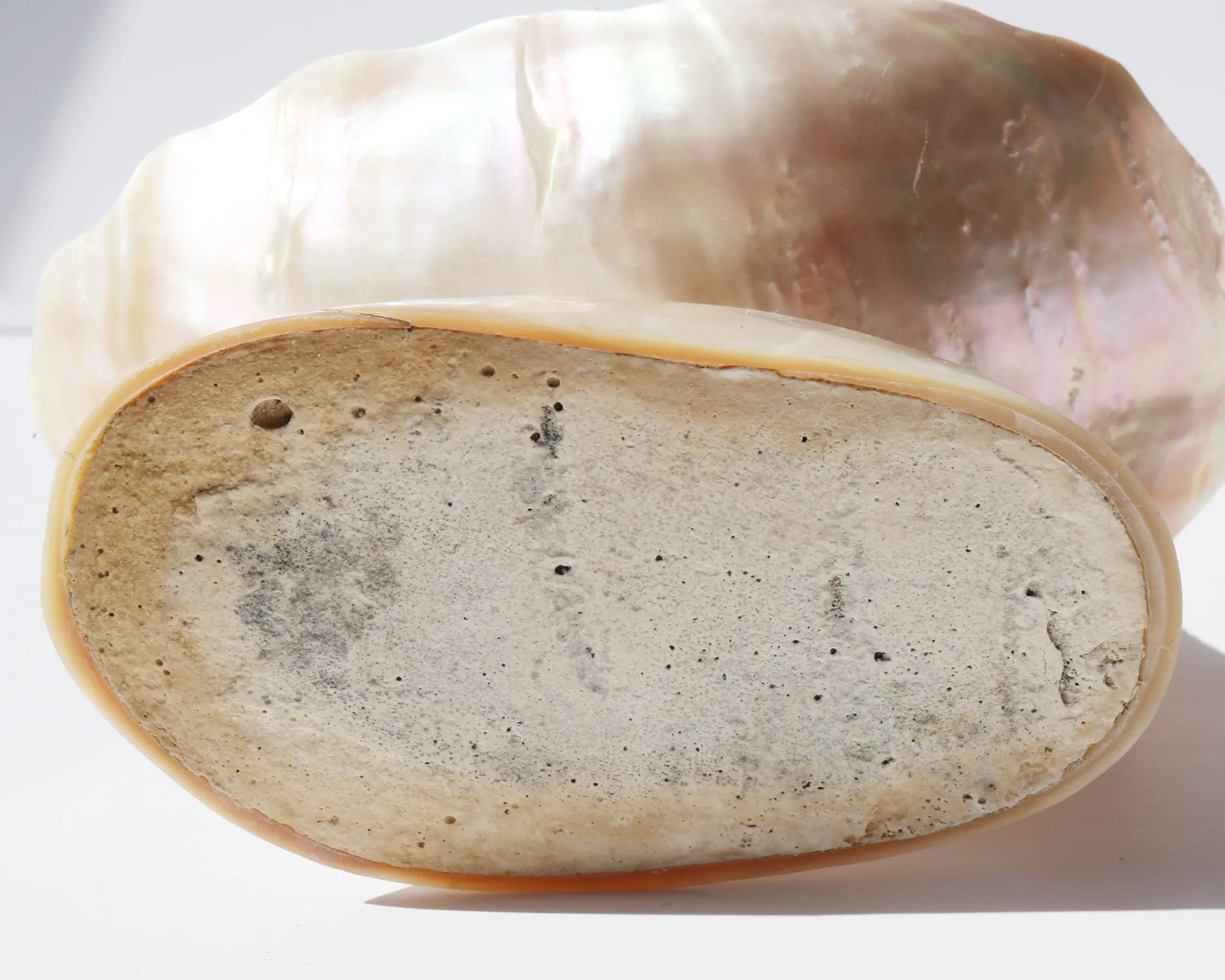 Carved Mother of Pearl Lighthouse Vanity Dish