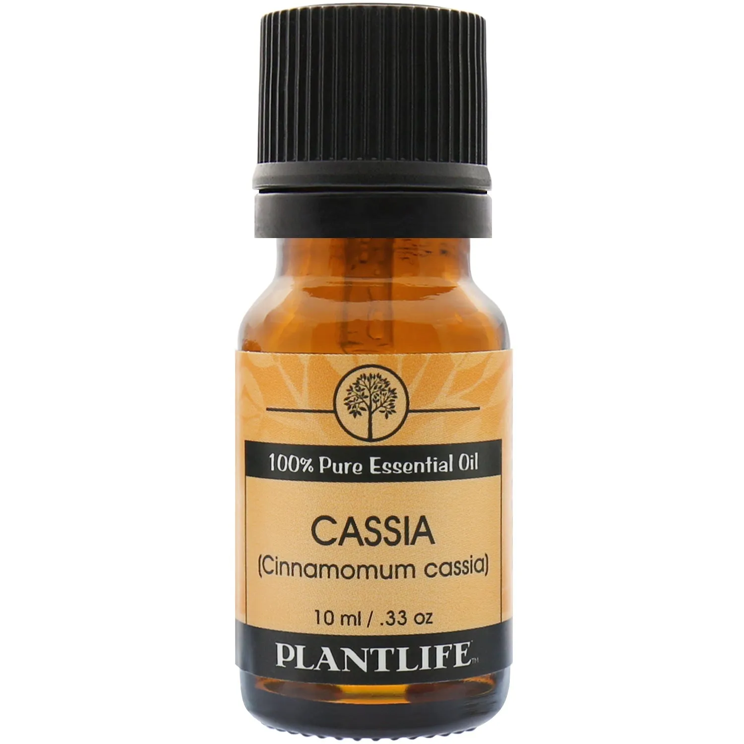 Cassia Essential Oil