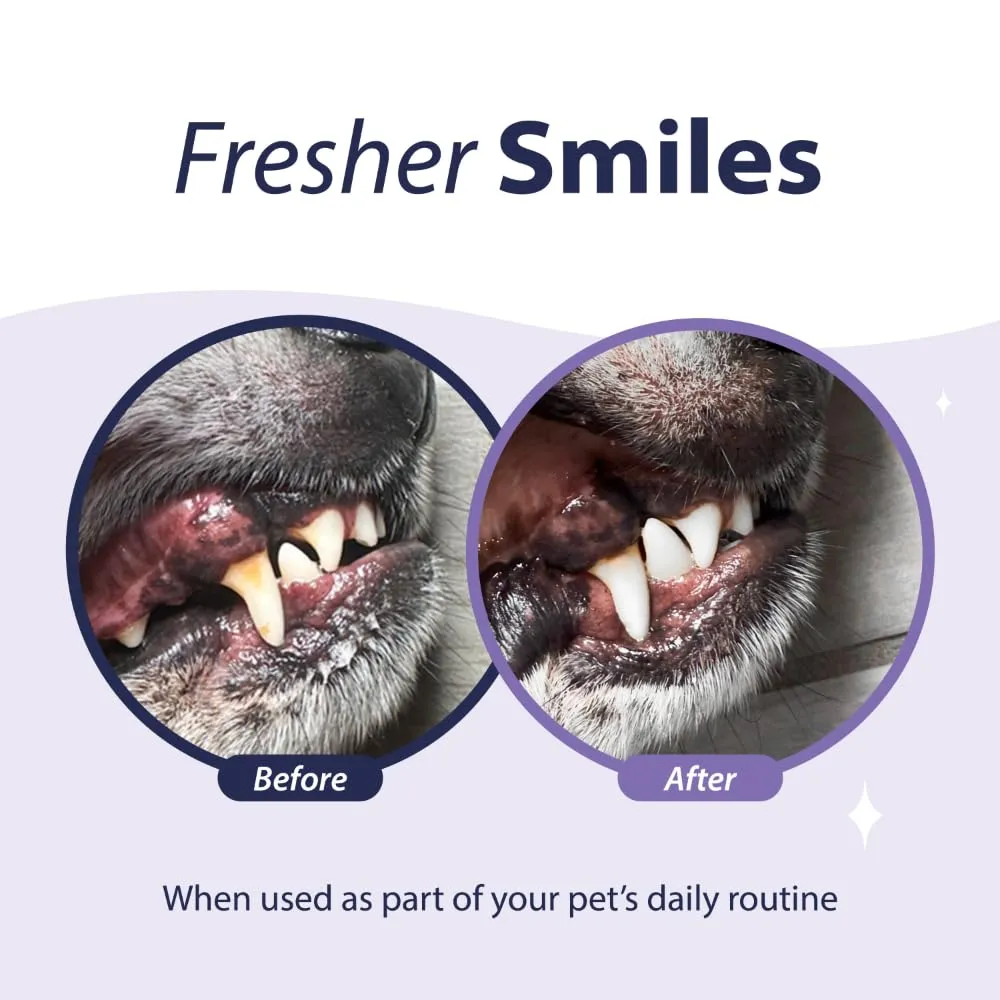 Dental Fresh Advanced Plaque and Tartar Water Additive, 32oz  Dog Teeth Cleaning Formula to Freshen Breath and Improve Cat & Dog Dental Care