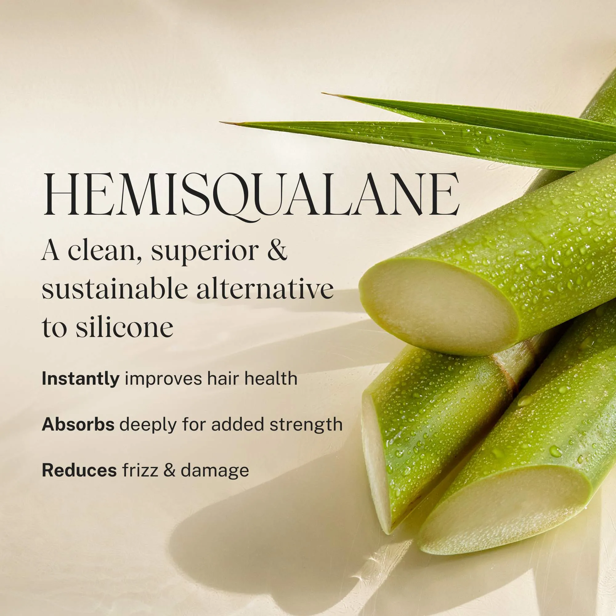 Embody Volumizing Conditioner
