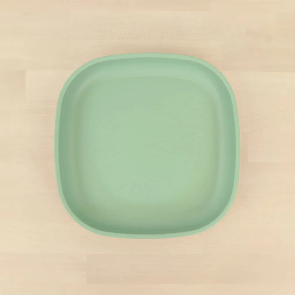 Re-Play 7" Plate