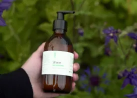 Shampoo