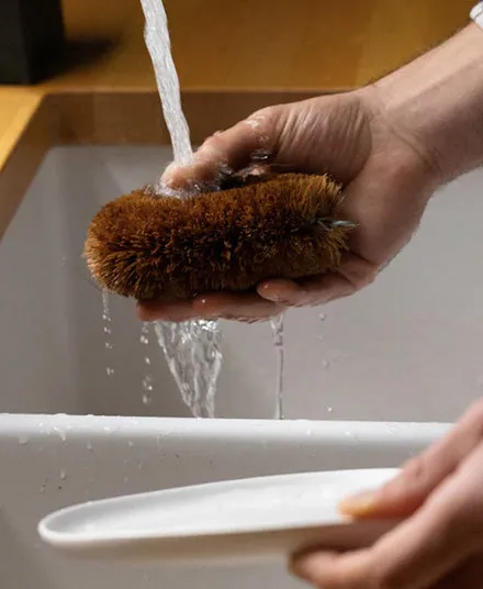 Tawashi Brush